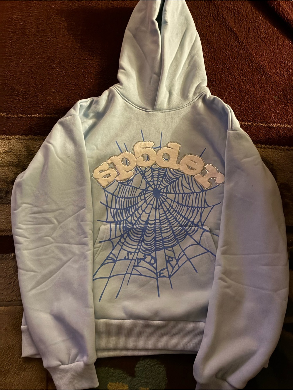 Light Blue Spider Web Graphic Hoodie Jacket
